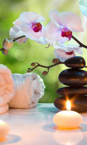 Privacy Policy Power Massagetherapist Websites massagetherapist websites